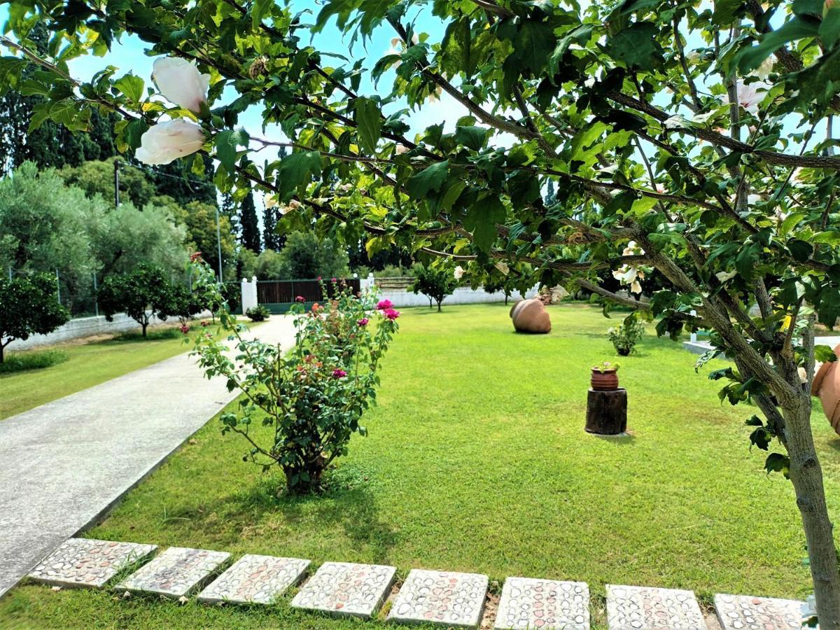 Zenia Pelion Garden House Villa Platanidia ภายนอก รูปภาพ